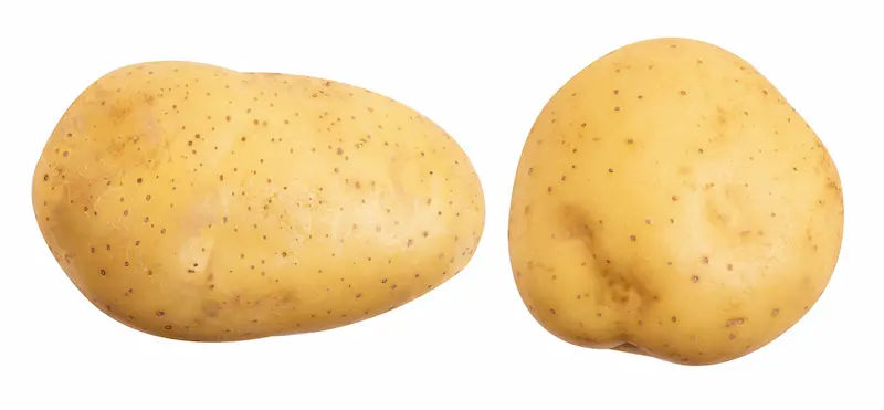 Potato in Ayurveda